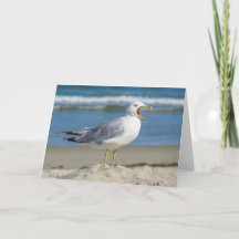 Greeting Card - Yawning Seagull