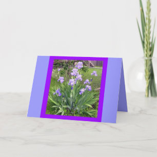 GREETING CARDS