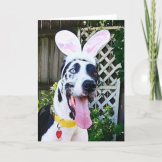 Greeting Cards by Dozer the Therapy Dog