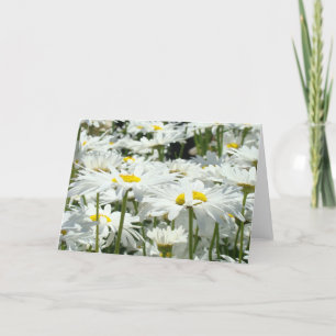 Greeting Cards custom White Daisy Flowers Floral