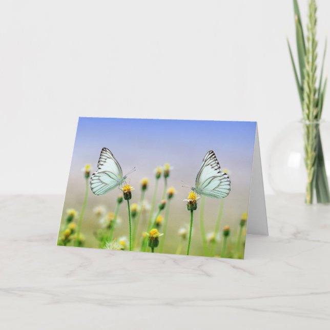 Greeting Cards - Spring Butterflies Moths (Front)