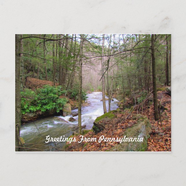 Greeting From Pennsylvania Postcard (Front)