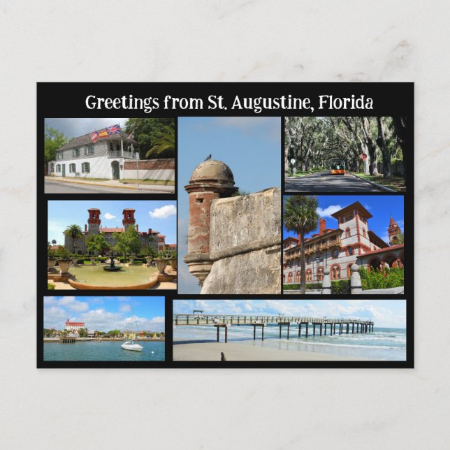 Greeting from St. Augustine  Postcard (Front)