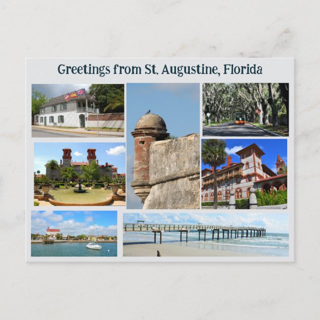 Greeting from St. Augustine  Postcard (Front)