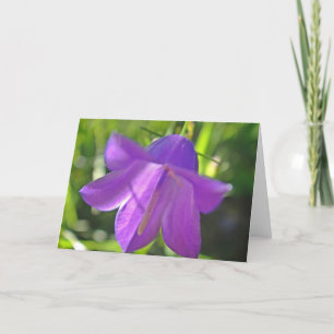 Greeting map of purple bellflower card