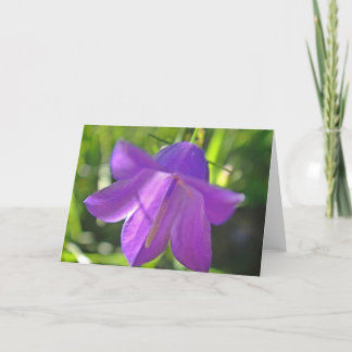 Greeting map of purple bellflower card