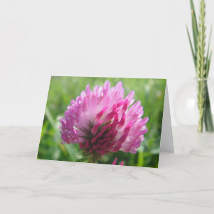 Greeting map pink clover blossom, in blank card