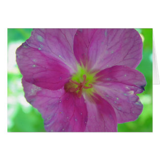 Greeting map pink-yellow game bloom, in blank