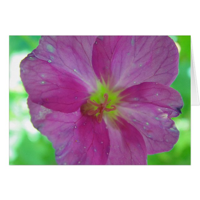 Greeting map pink-yellow game bloom, in blank (Front Horizontal)