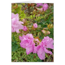 Greeting with lavender blooms on azalea. Thank You