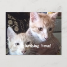 greetings birthday flat card