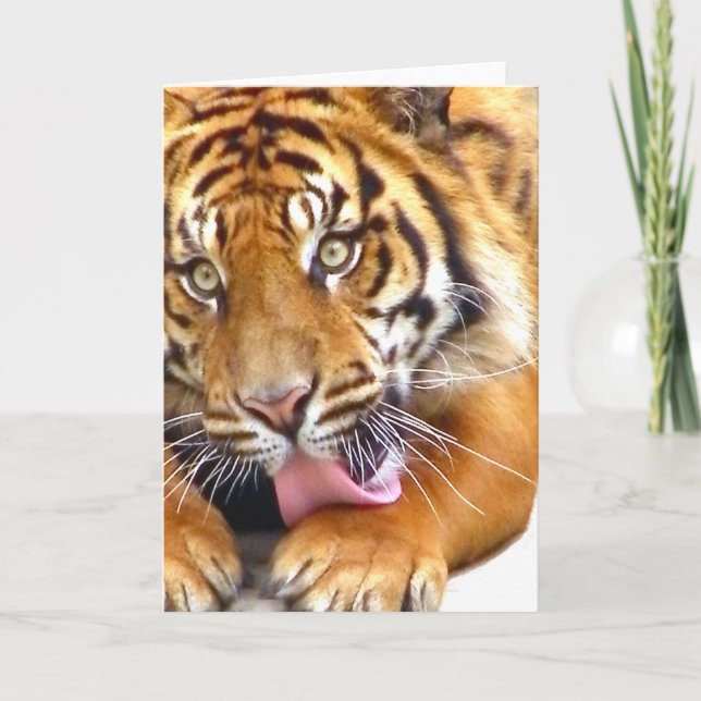 Greetings_ Card (Front)