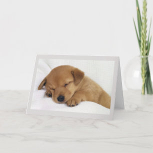 Greetings Card - Cute Puppy