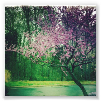 greetings card photo print