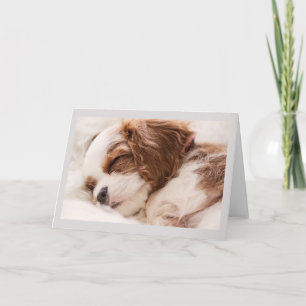 Greetings Card - Sleeping Puppy