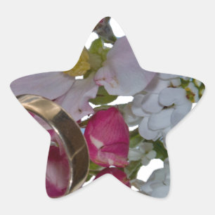 Greetings -Cheers Star Sticker