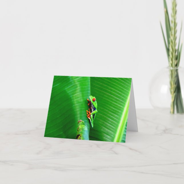 Greetings from a red-eyed tree frog card (Front)