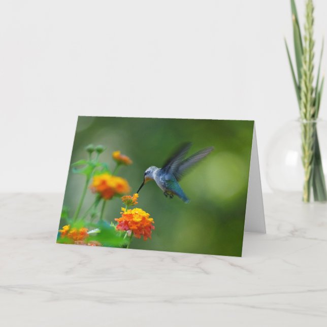 Greetings!  From A Summer Hummer! Card (Front)