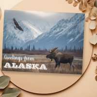Greetings from Alaska Moose and Bald Eagle