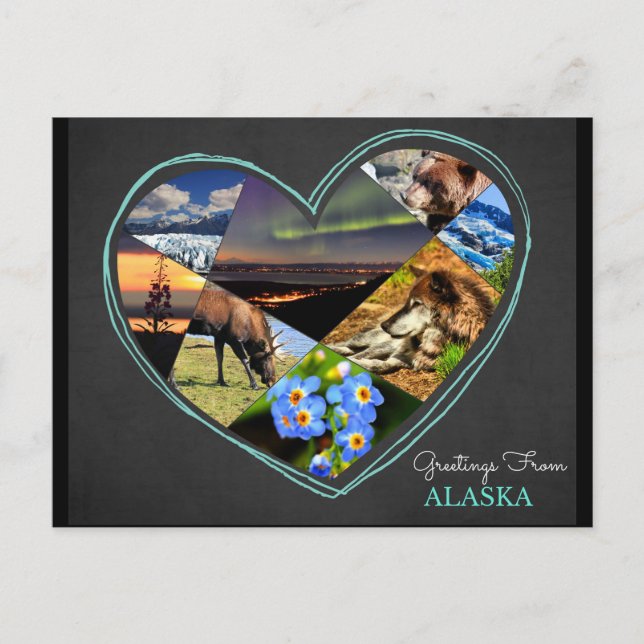 Greetings From Alaska ♥ Postcard (Front)
