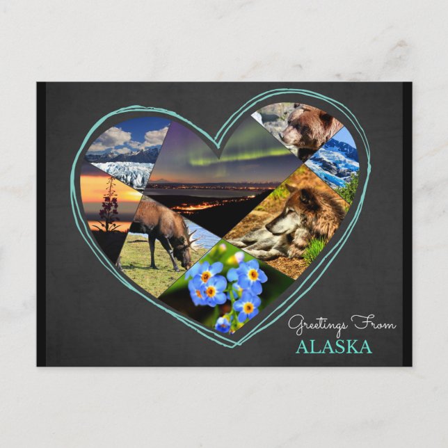 Greetings From Alaska ♥ Postcard (Front)