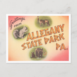 Greetings from Allegany State Park, Pennsylvania Postcard