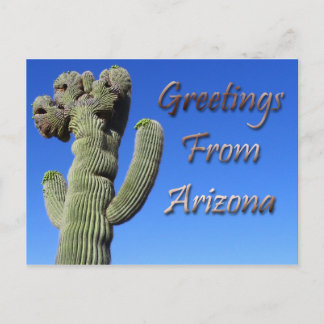 Greetings From Arizona Postcard