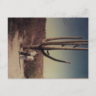 Greetings from Arizona postcard!!! Postcard