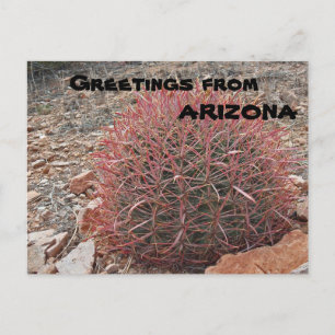 Greetings from Arizona Red Barrel Cactus Plant Postcard