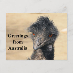 Greetings from Australia Postcard