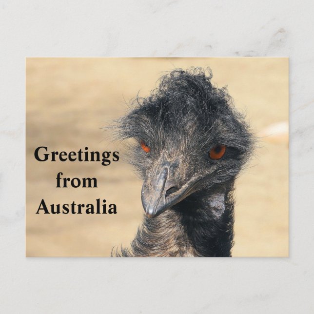Greetings from Australia Postcard (Front)