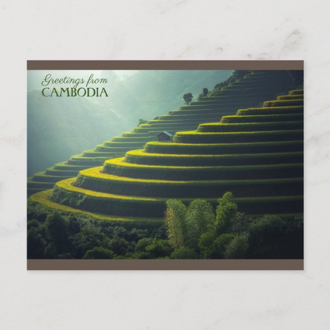 Greetings from - Cambodia - Rice field Postcard (Front)