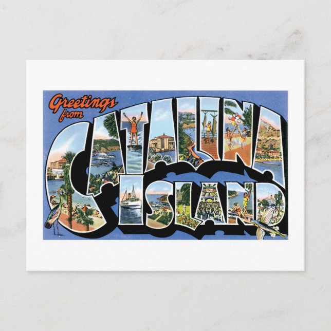 Greetings from Catalina Island, California Retro Postcard (Front)
