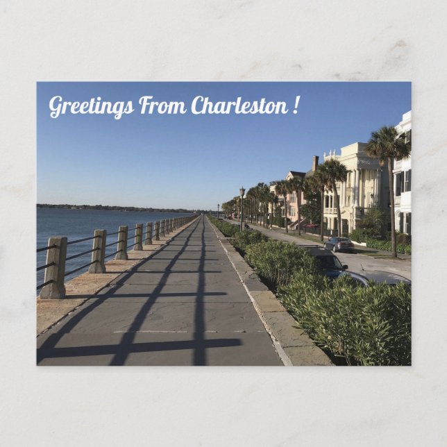 Greetings From Charleston Postcard (Front)