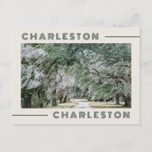Greetings from Charleston South Carolina Postcard