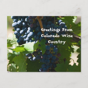 Greetings from Colorado Wine Country Postcard