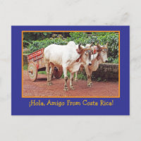 Greetings From Costa Rica Postcard (oxen &oxcart)