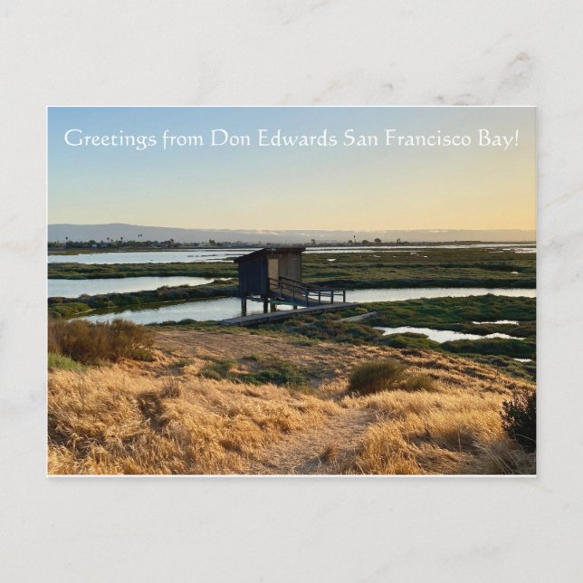 Greetings from Don Edwards San Francisco Bay! Postcard (Front)