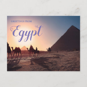 Greetings from Egypt Pyramids Postcard  