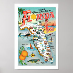 Greetings From Florida 8x12 Print