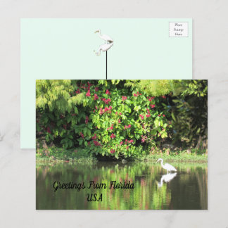Greetings from Florida - Egret in Landscape Holiday Postcard