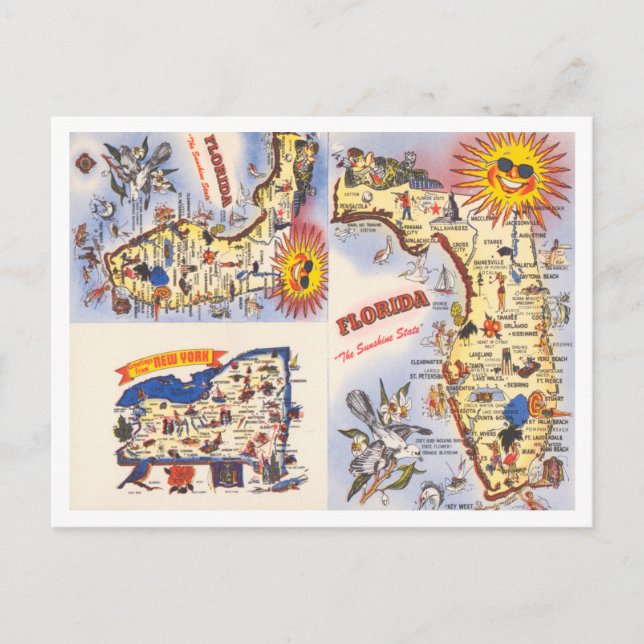 Greetings from Florida, New York Map Travel Postcard (Front)