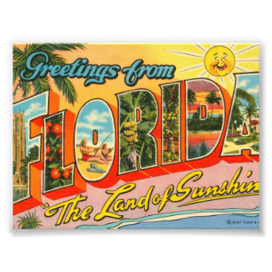 Greetings From Florida Vintage Postcard Photo Print
