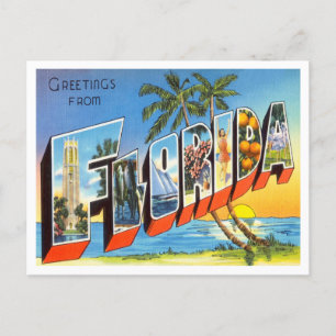 Greetings from Florida Vintage Travel Postcard