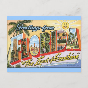 Greetings from Florida - Vintage Travel Postcard