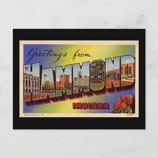 Greetings from Hammond Indiana Postcard (Front)