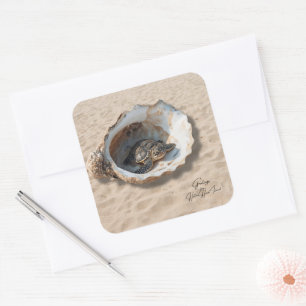 Greetings from Hilton Head Island Sea Turtle Square Sticker