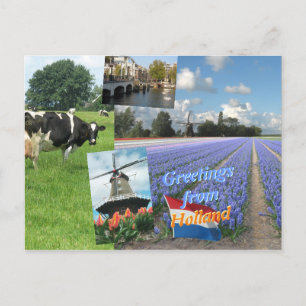 Greetings from Holland Postcard