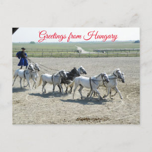 Greetings from Hungary Postcard