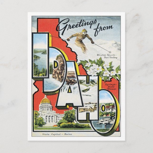 Greetings From Idaho Postcard (Front)